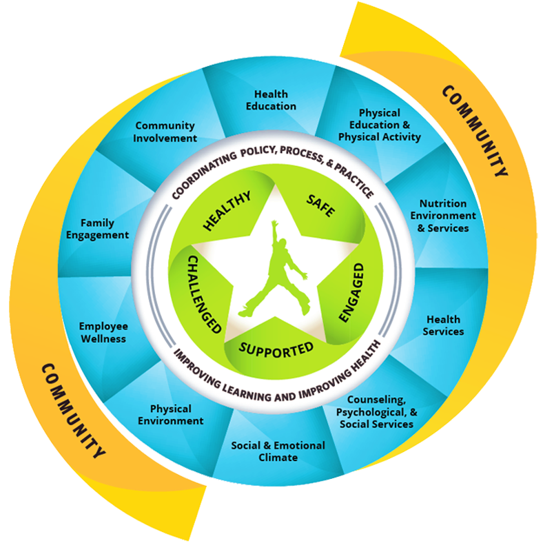 The Whole School, Whole Community, Whole Child model is the CDC’s integrated framework of health and learning. The child is at the center of the model and surrounded by three layers: coordination of policies, processes, and practices in schools; 10 components for organizing school practices; and finally, the community in which the school is situated.