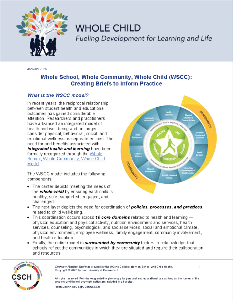 "Screenshot of first page of WSCC Overview Brief"